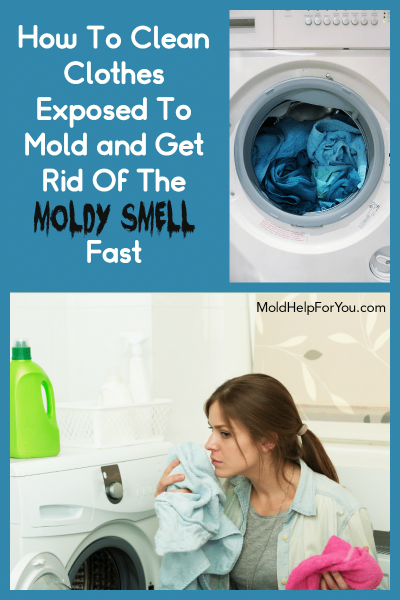 How To Get Mold Out Of Clothes and Fabrics  Mold Help For You