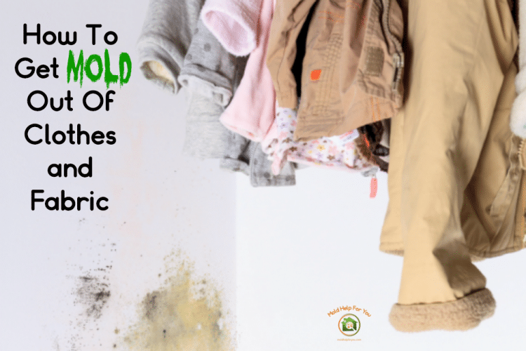 Clothing hanging in a moldy closet