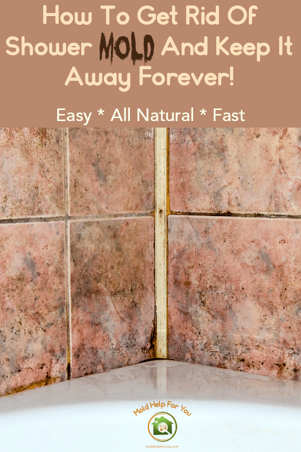 Black Mold In The Shower Here S How To, How To Clean Bathtub Mold Naturally