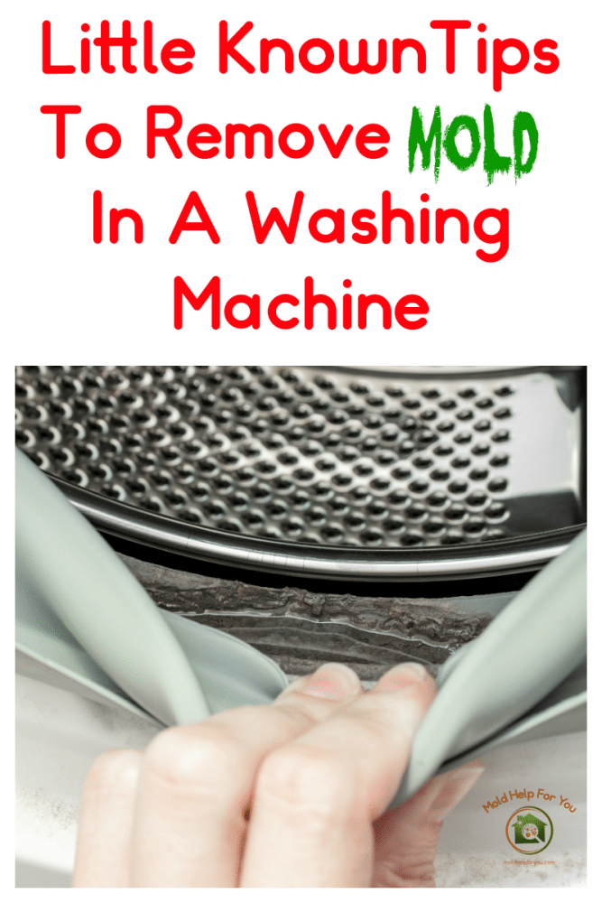 The Best Way To Clean Mold In A Washing Machine Mold Help For You
