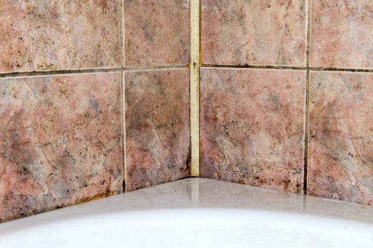 Showing how to remove mold from shower grout