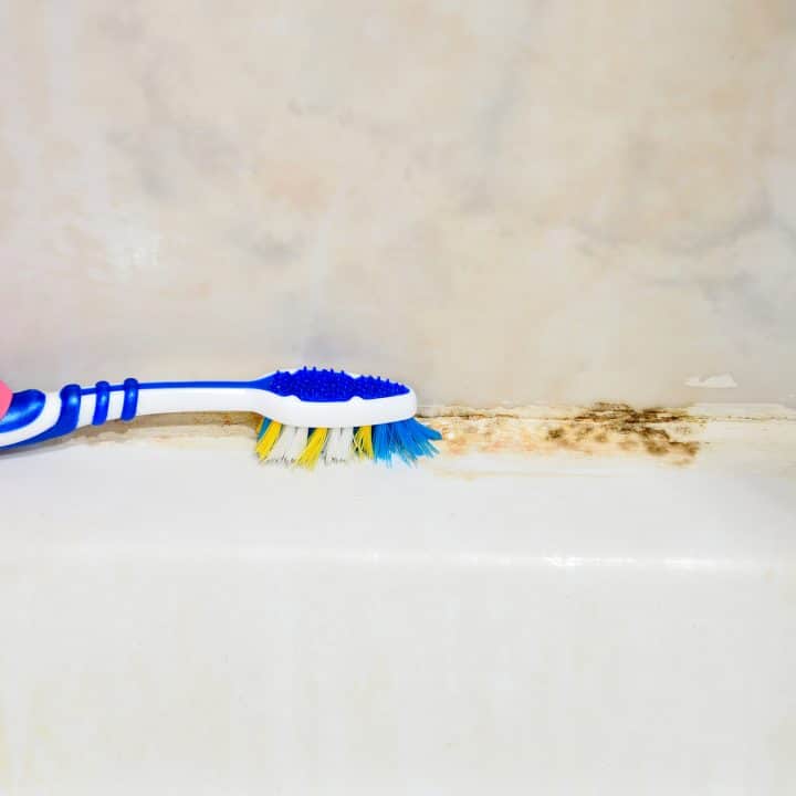 Black Mold In The Shower Here S How To, How To Remove Mold And Mildew From Bathtub Caulking