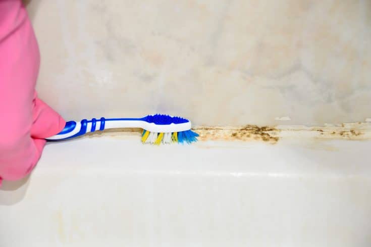 Black Mold In The Shower Here S How To, How To Remove Black Spots From Bathtub Caulking