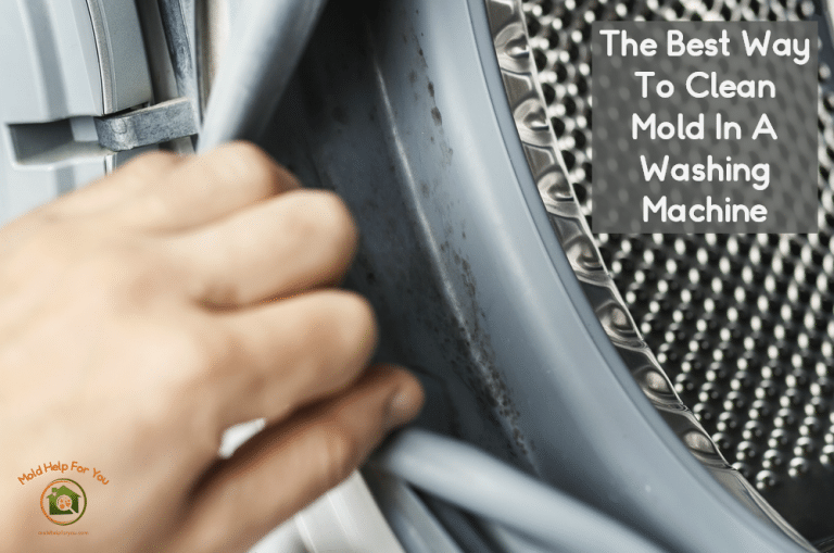 The Best Way To Clean Mold In A Washing Machine