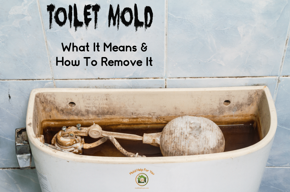 A moldy toilet tank with the caption "toilet mold - what it means and how to remove it" written above