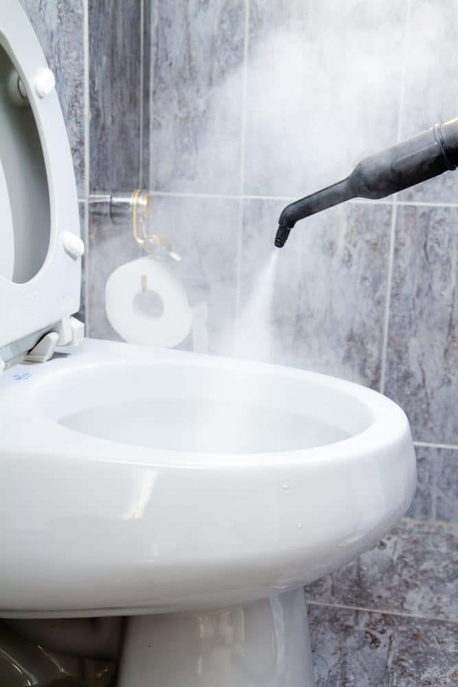 Mold in Toilet: How to Remove Mold in Toilet