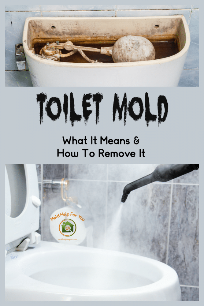 A moldy toilet tank with the caption "toilet mold - what it means and how to remove it" written below