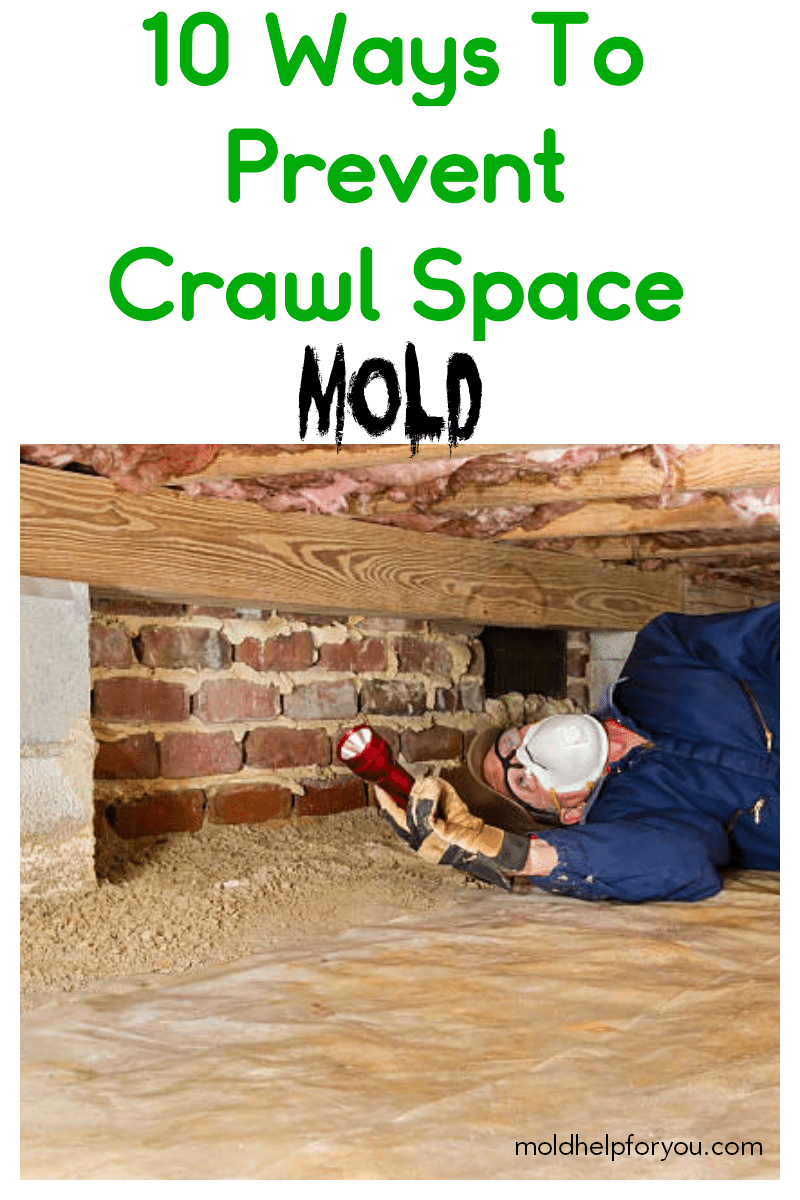 A home inspector checking a crawl space for mold