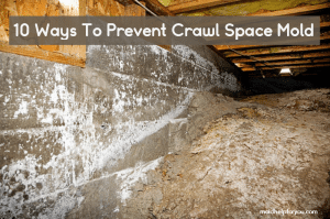 A Crawl space with mold