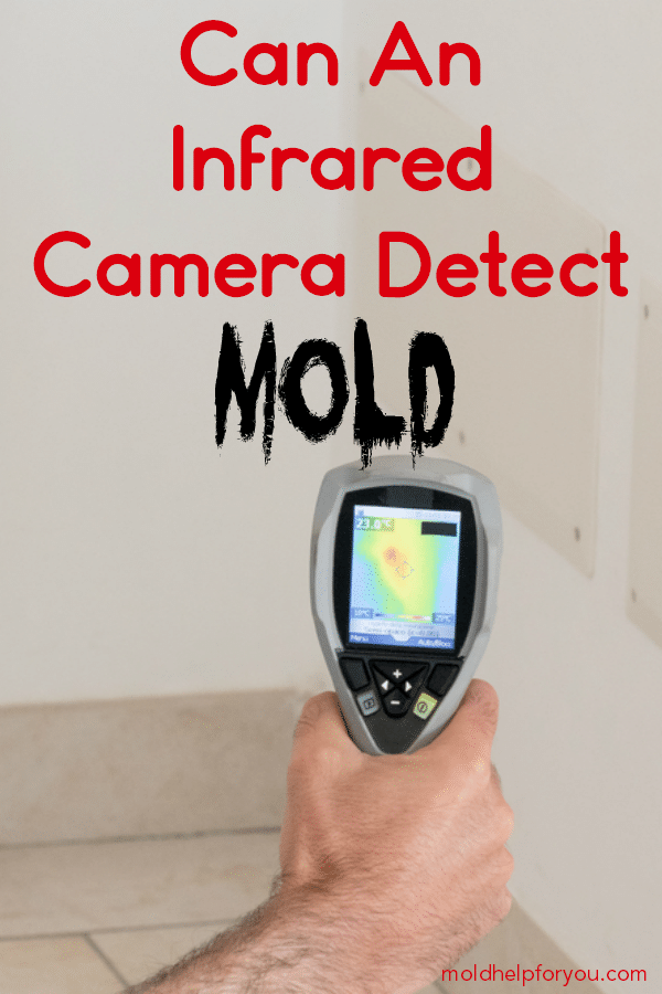 Using an infrared camera to detect mold