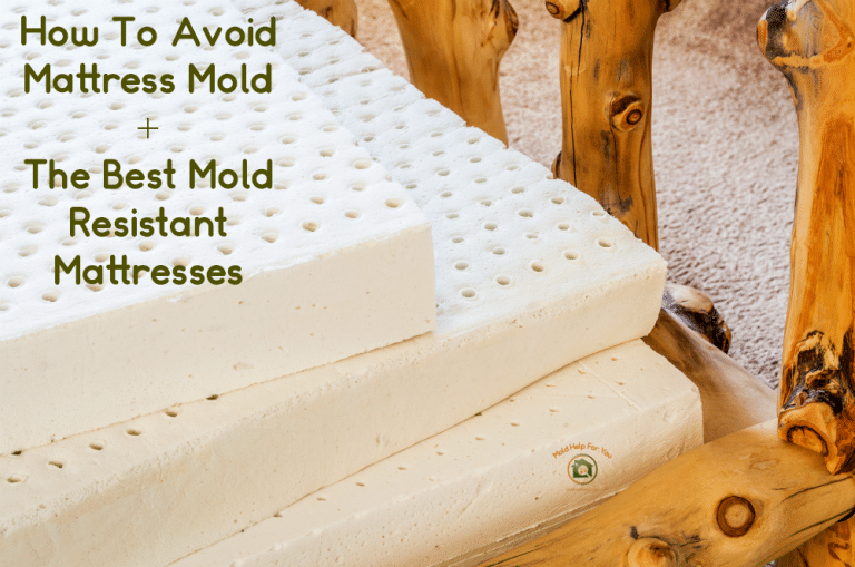 How To Avoid Mattress Mold + The Best Mold Resistant Mattress