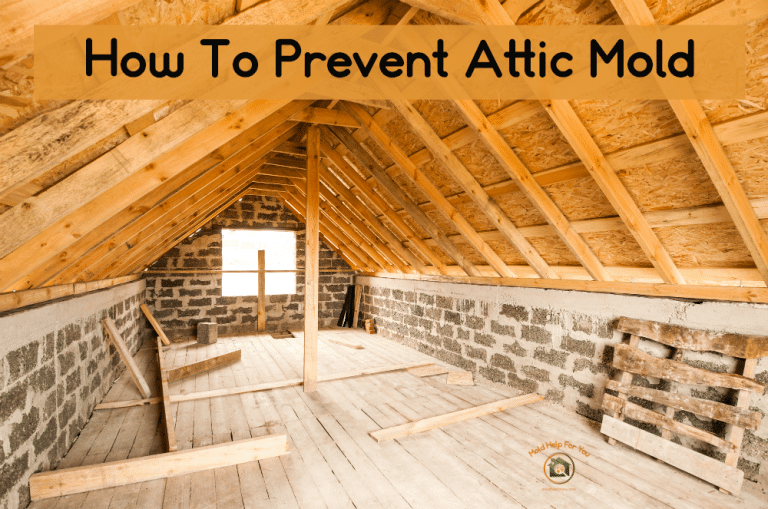 How To Prevent Attic Mold + Attic Mold Tips