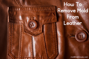 A leather jacket with the title "how to remove mold from leather the easy way."