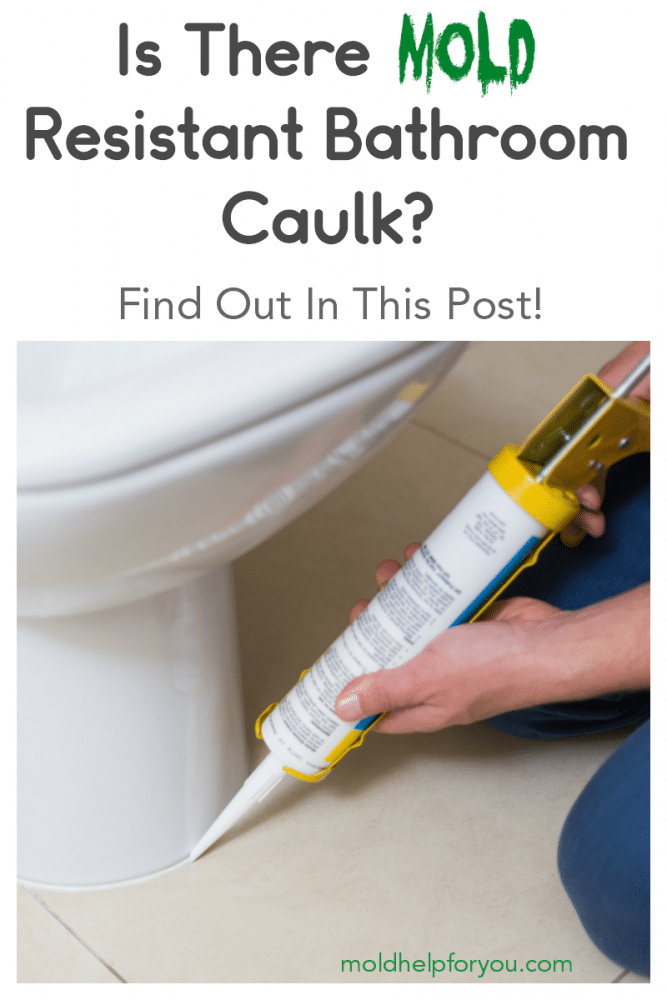 The Best Mold Resistant Caulk For Your Home Mold Help For You