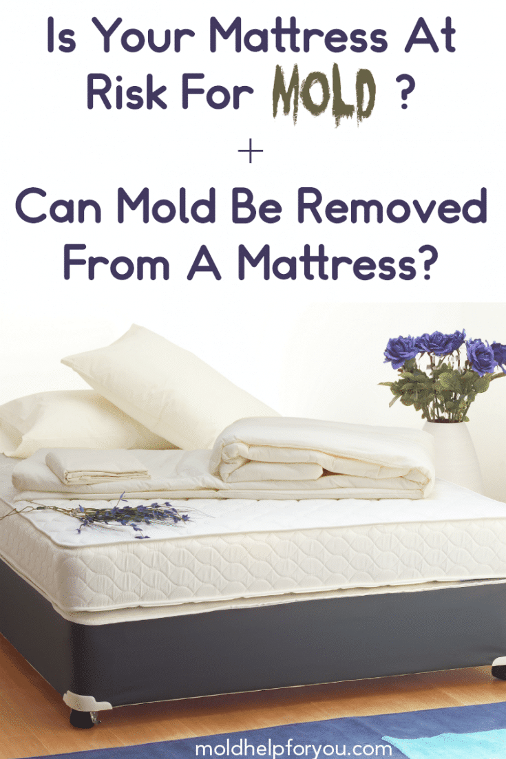 How To Avoid Mattress Mold + The Best Mold Resistant Mattress | Mold ...