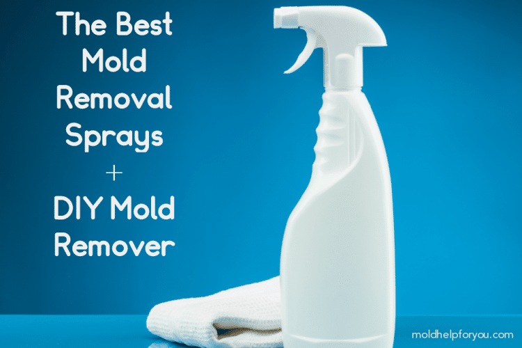 A bottle of mold removal spray