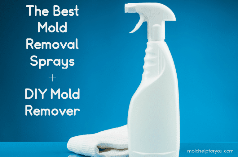 The Best Mold Removal Spray + DIY Mold Spray