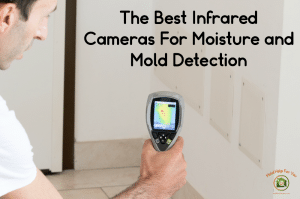 Using an infrared camera to detect moisture and mold