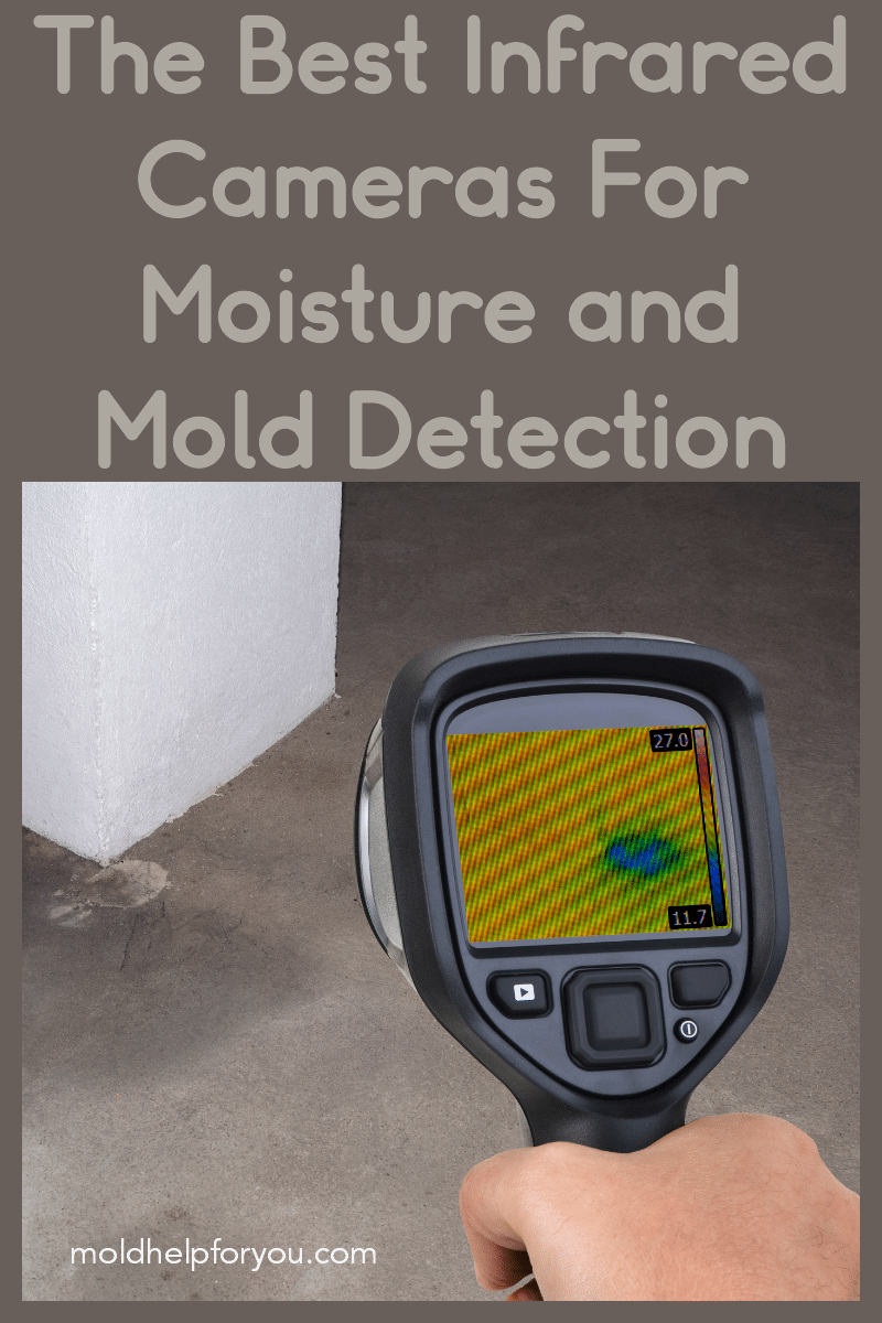 Using an infrared camera to detect moisture and mold