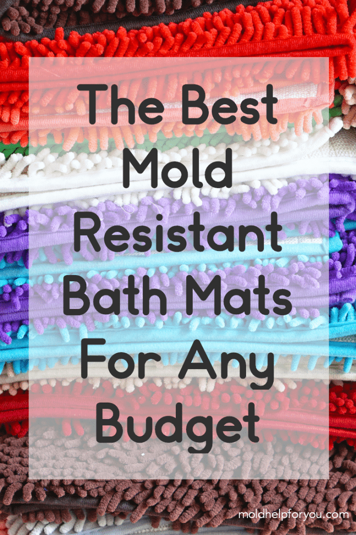 The Best Mold and Mildew Resistant Bath Mats For Any Budget Mold Help