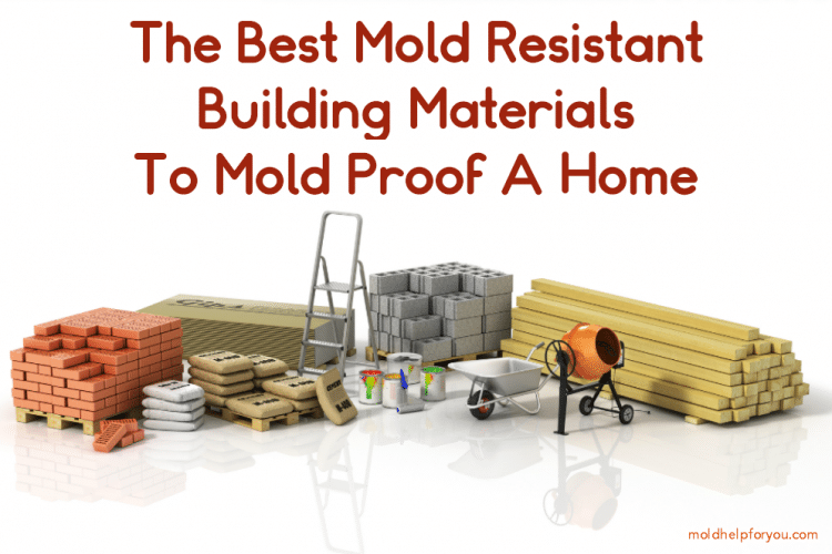 Various mold resistant building materials
