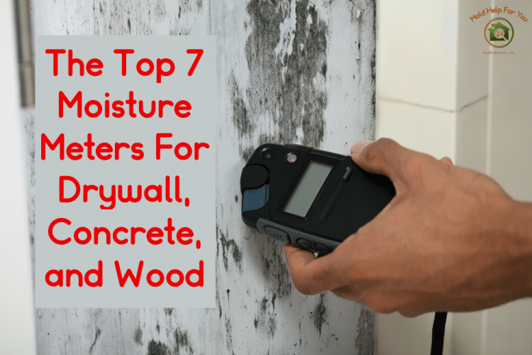 A home inspector using one of the top 7 moisture meters for drywall, concrete, and wood