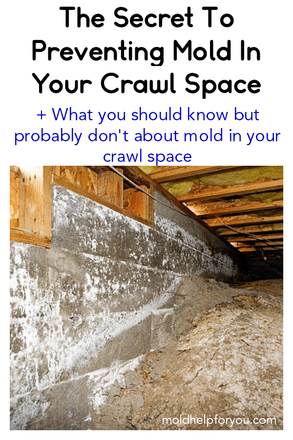 A crawl space with mold