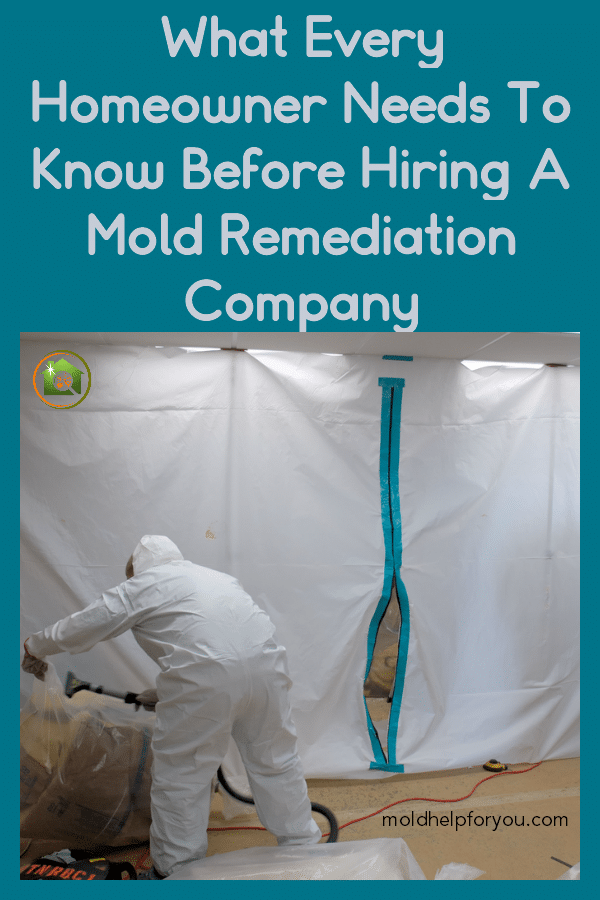 Professional mold remediation