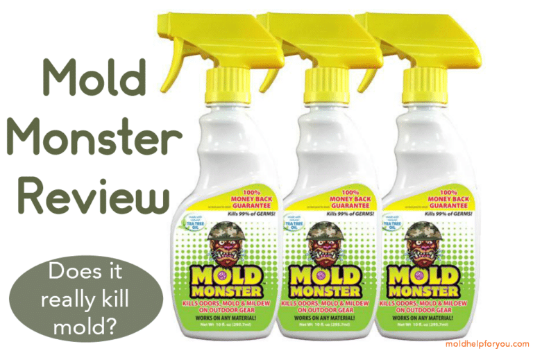 Mold Monster Review