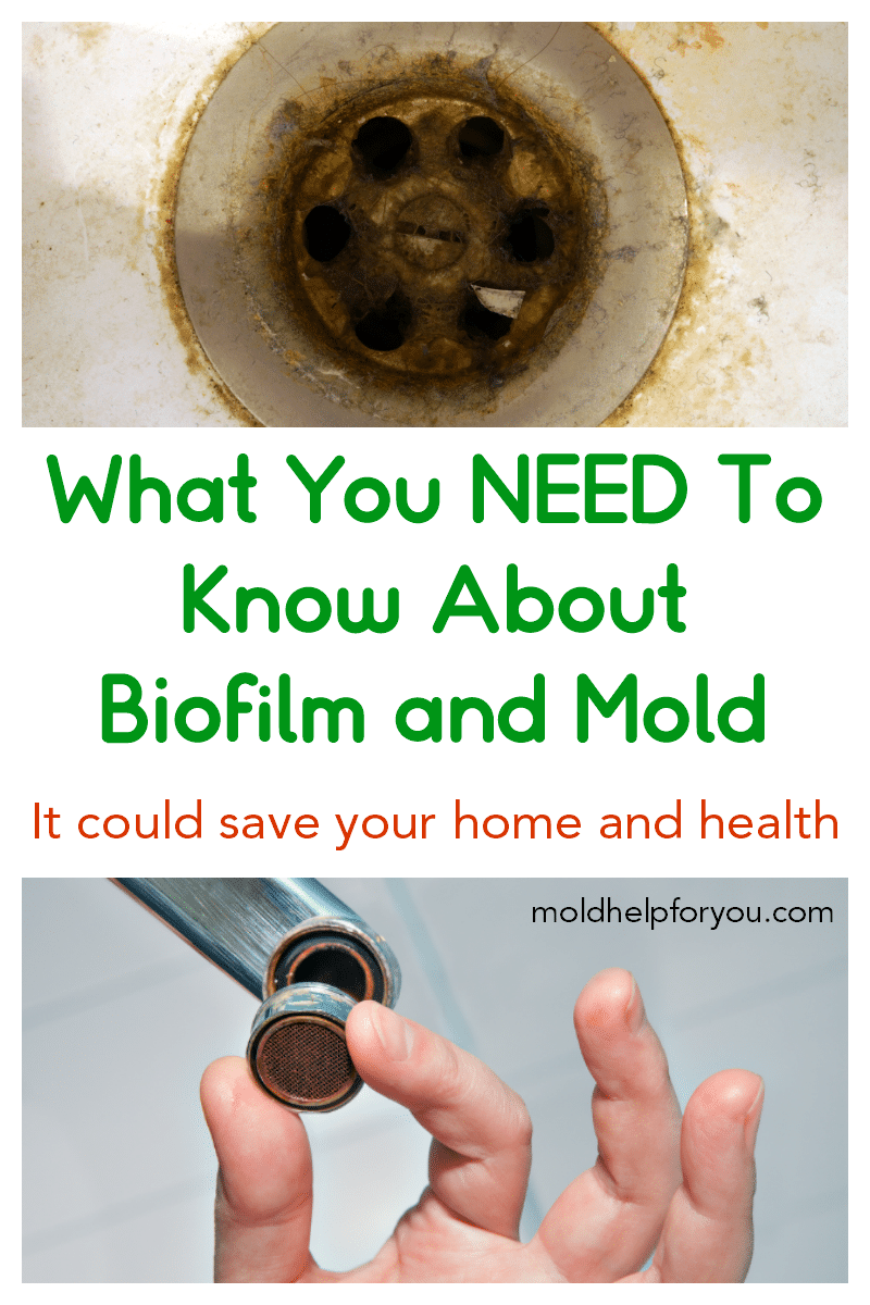 Biofilm on a drain cover and biofilm inside a faucet filter