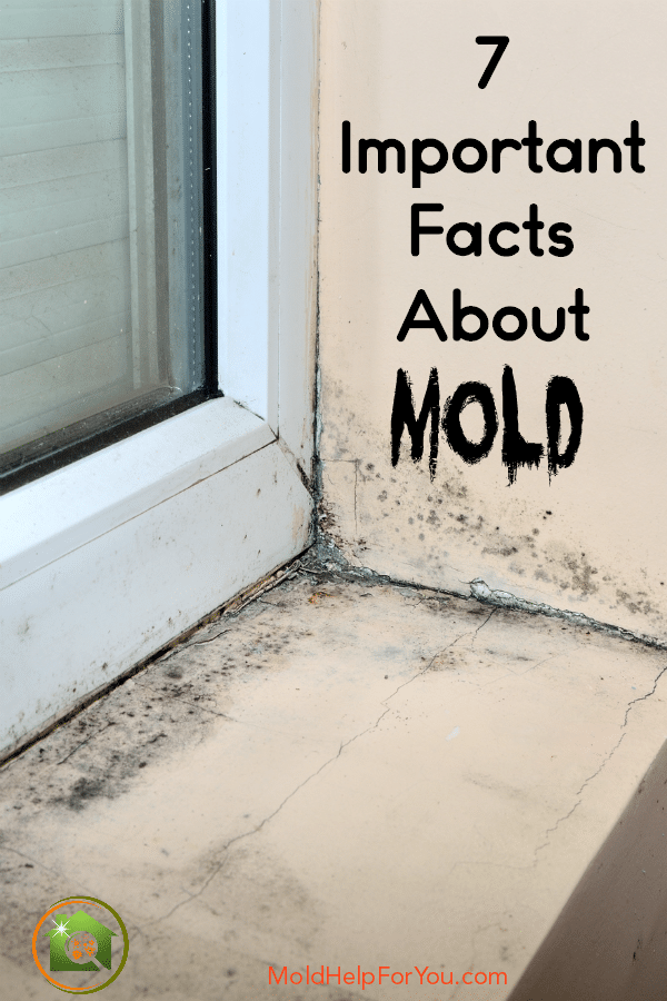 A moldy window sill with the words 7 Important Facts About Mold