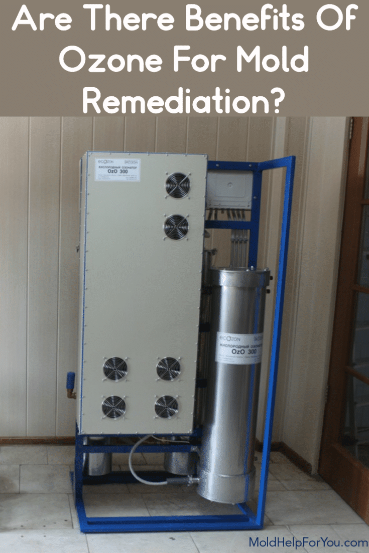 Does Ozone Kill Mold and Is It Safe? Mold Help For You