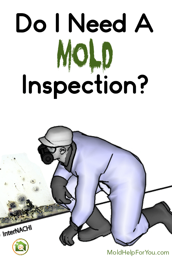 A mold inspector looking at mold on a wall during a mold inspection