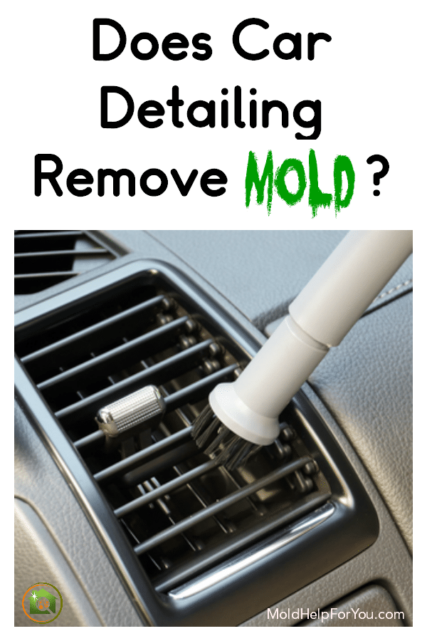 Detailing a car's air vent to remove mold