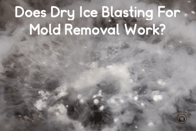 Dry ice blasting for mold removal