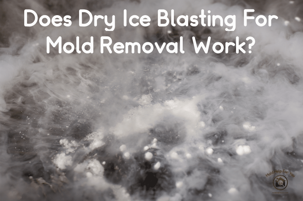 Does Soda Blasting Or Dry Ice Blasting For Mold Removal Work? Mold