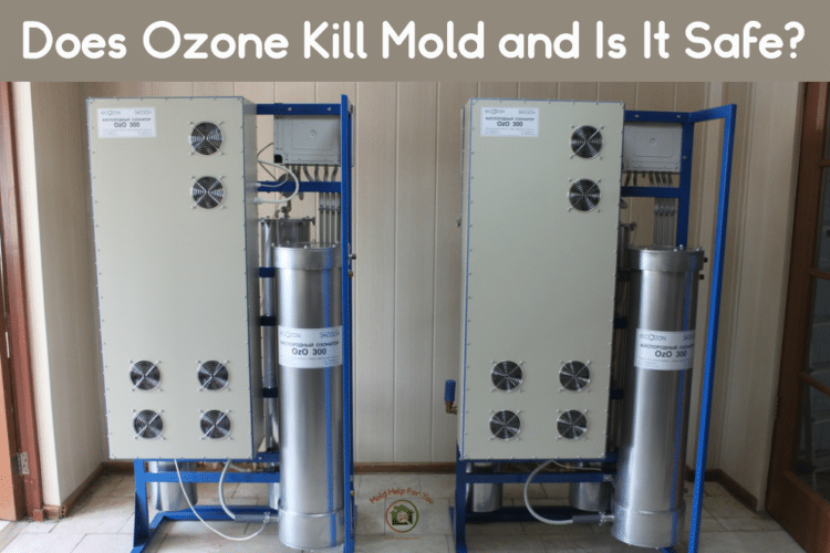 Ozone generators to remove mold