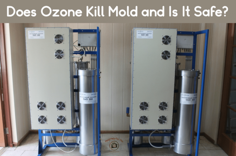 Does Ozone Kill Mold and Is It Safe?