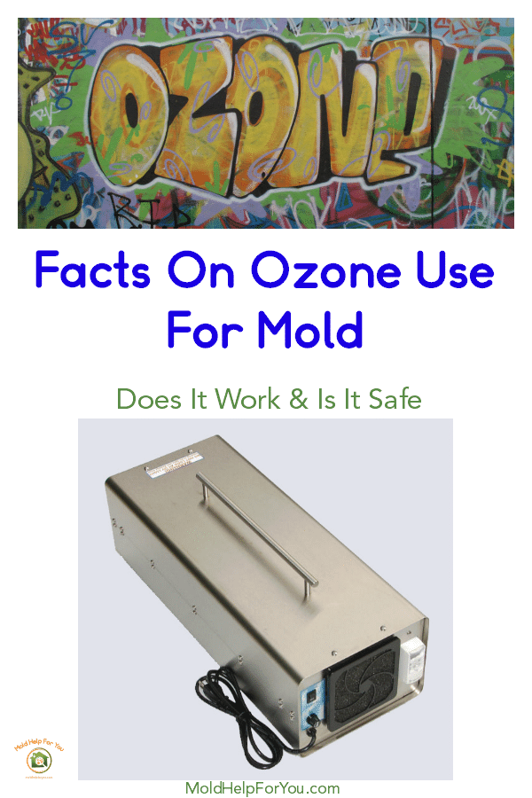 Ozone generator for mold removal