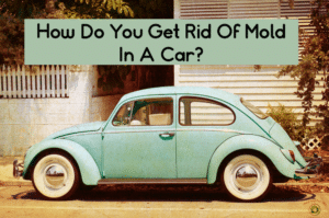 Cute VW bug with a banner above that says "how do you get rid of mold in a car?"