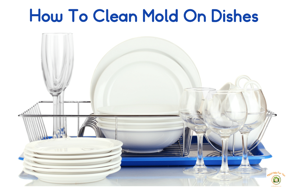 How To Clean Mold Off Dishes  