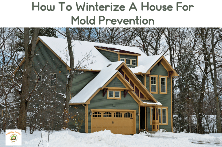 How To Winterize A House For Mold Prevention