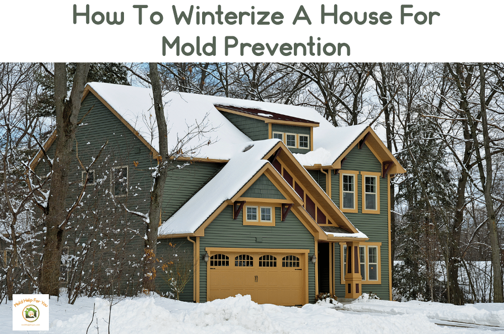 How To Winterize A House For Mold Prevention Mold Help For You