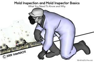 A mold inspector looking at mold on a wall during a mold inspection