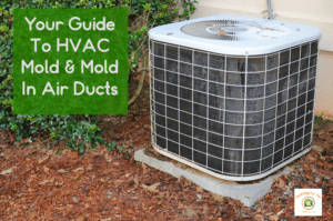 A mold free HVAC unit with the words HVAC Mold next to it