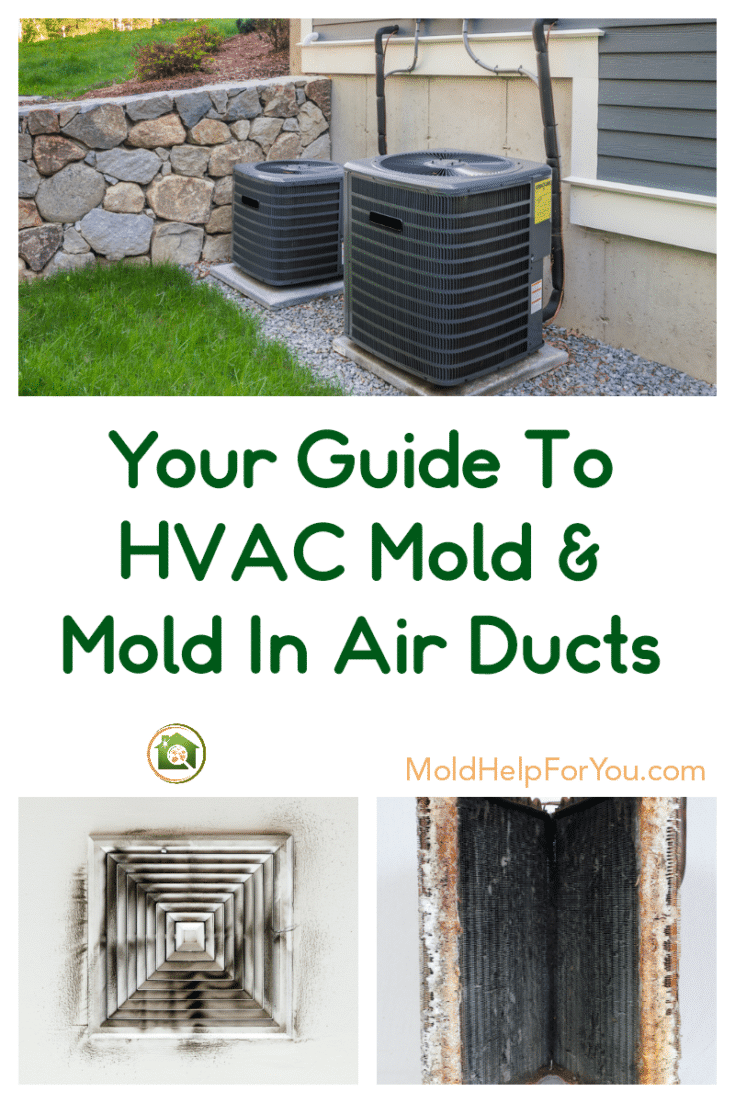 Your Guide To HVAC Mold & Mold In Air Ducts Mold Help For You
