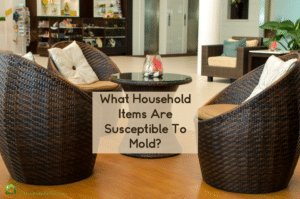 Household items that are susceptible
