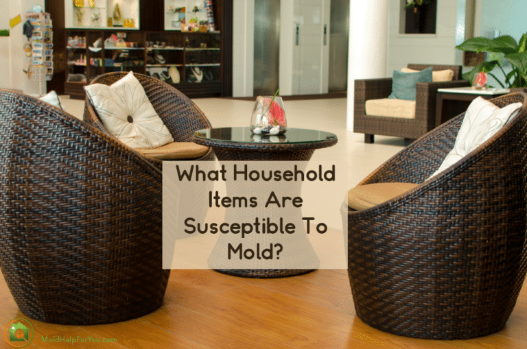 Do You Know Where You Are Exposed To Mold?