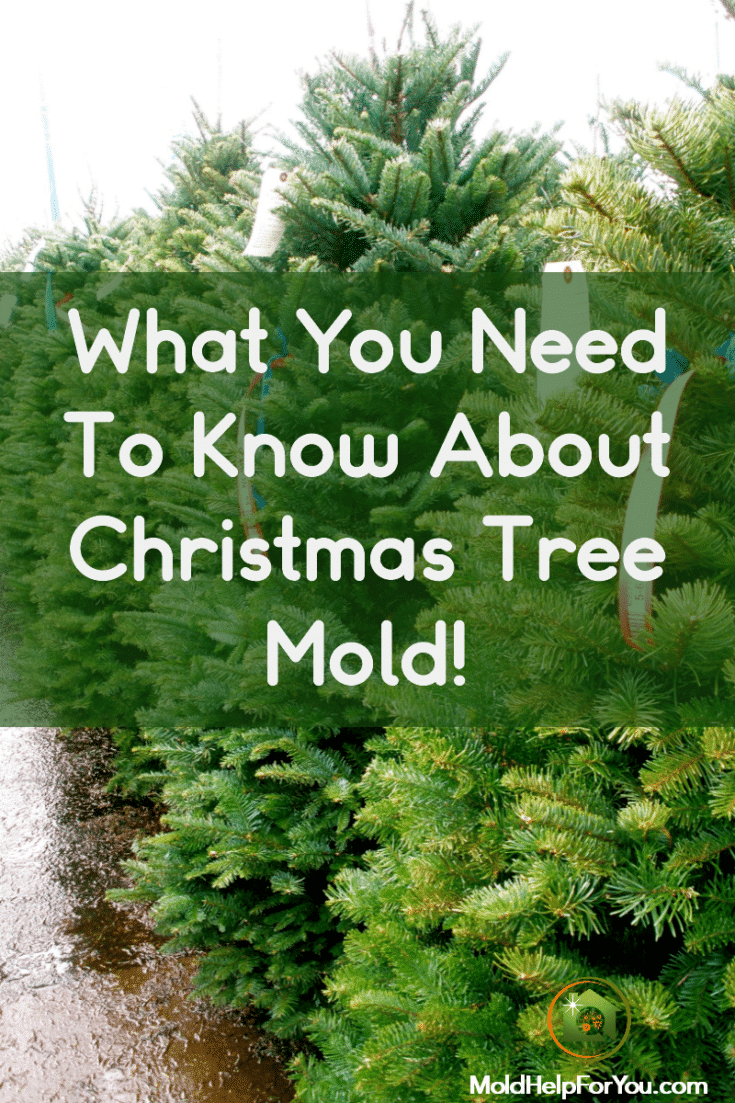 What You Need To Know About Christmas Tree Mold and Christmas Tree