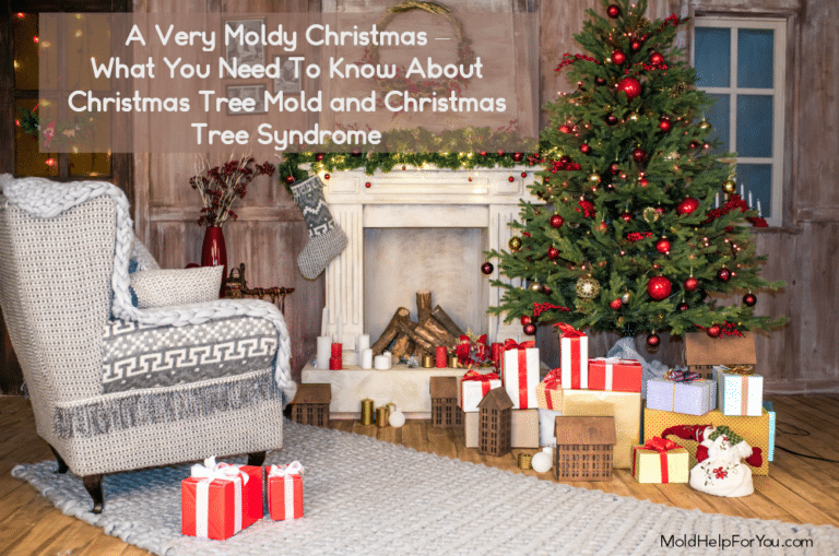 What You Need To Know About Christmas Tree Mold and Christmas Tree Syndrome